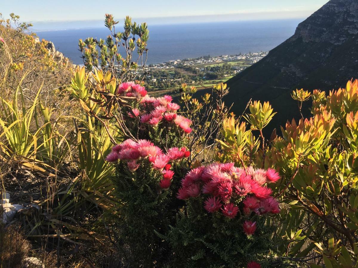 The Gables Hermanus Εξωτερικό φωτογραφία