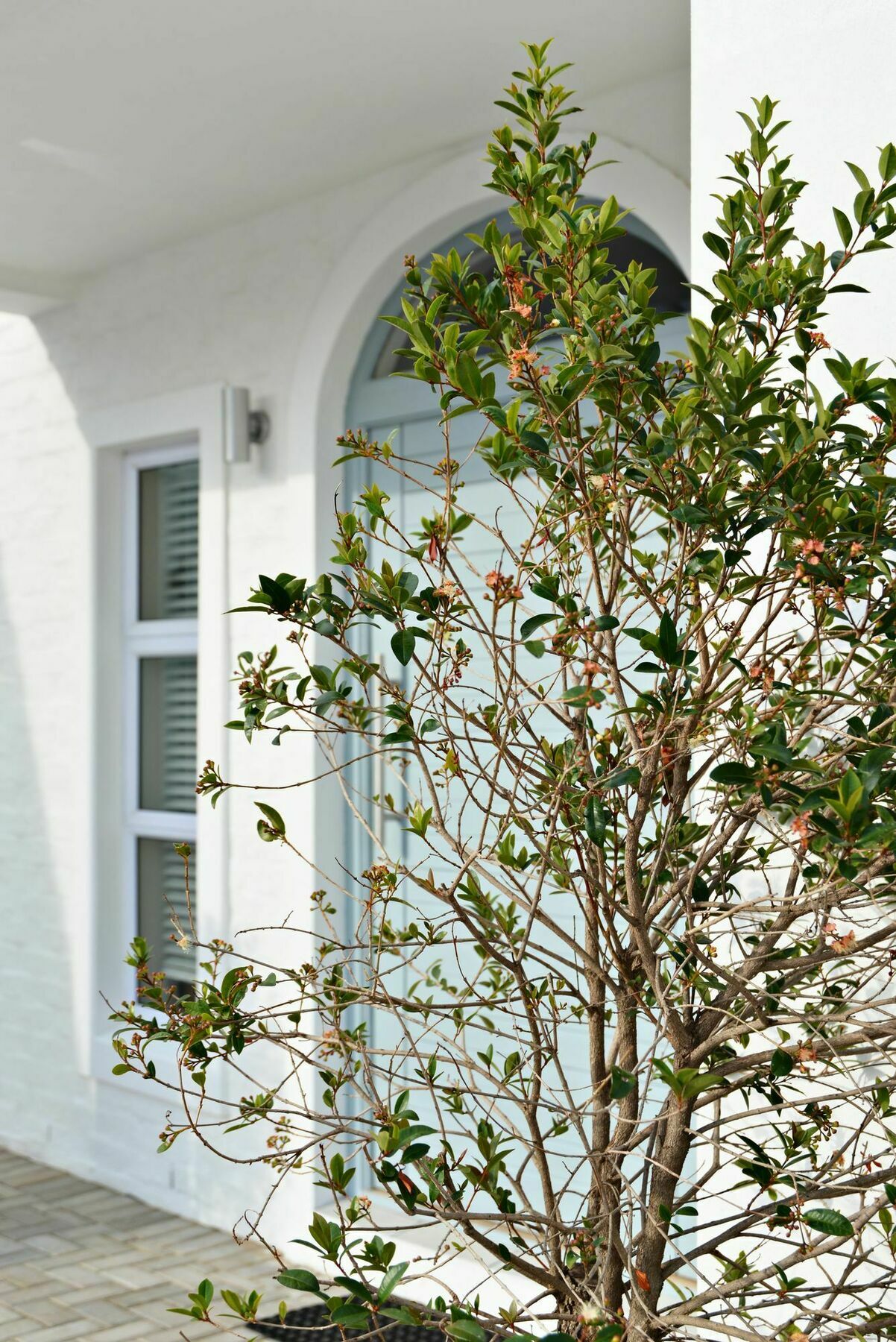 The Gables Hermanus Εξωτερικό φωτογραφία